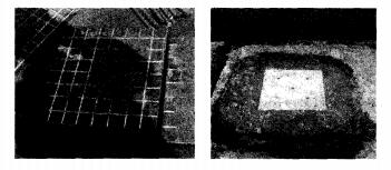 1505098333583854.jpg 云網(wǎng)客2.jpg